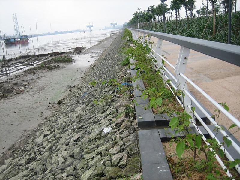 生態(tài)格網