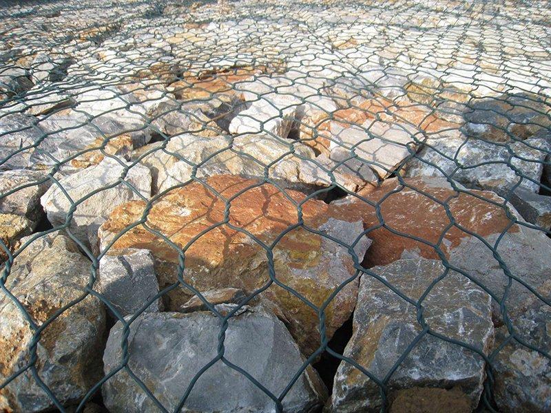 生態(tài)格網